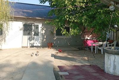 Se vinde casa in Gaujani jud Giurgiu - 3