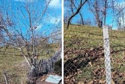 Teren cota parte 1/2, Sat Vistieru, ID: R2809860 - 9