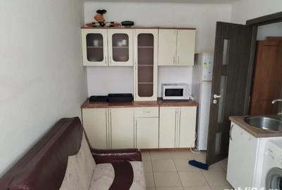 Dau in chirie apartament in parcul tineretului - 4