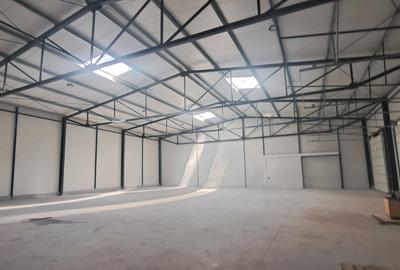 Drumul intre Tarlale, sector 3, hala 590 mp - 4