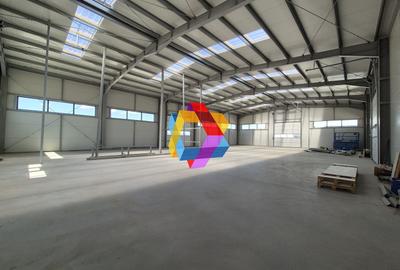 Hala - 1400 mp  # plus-imo.ro - 8