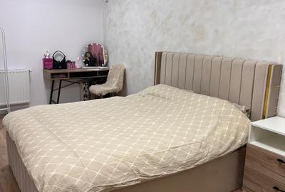 Apartament cu 2 camere semidecomandat, mobilat în Parcul Carol - 18