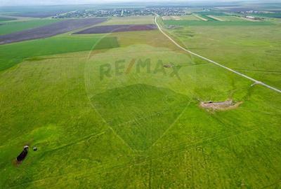 Teren agricol extravilan de 50000 mp, în Est - 11