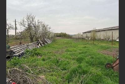 Teren 5000m², Cartier Dragoieni, Tg-Jiu - 2