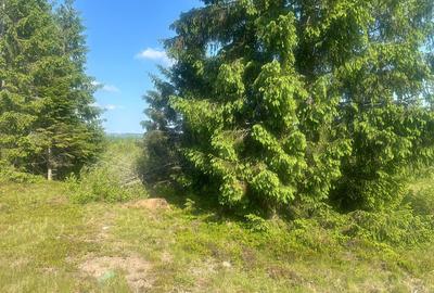 Teren Belis 1000mp - 8