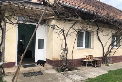 Casa locuibila cu teren generos,  REPUBLICII SANPETRU Casa locuibila cu teren generos,  REPUBLICII SANPETRU - 18