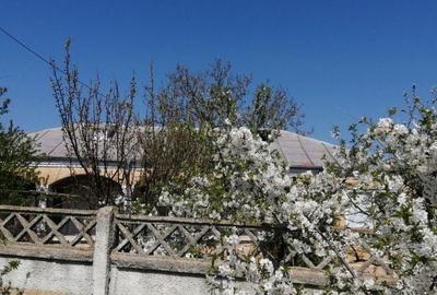 Casă cu 4 camere în Cișmele - 7