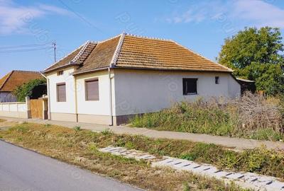 Casă cu 6 camere cu Teren 2900 Mp în Gurbediu - 11