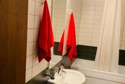 Parcul Carol Duplex mobilat si utilat bloc nou - 13