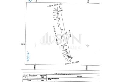 Teren Construcții intravilan de 15000 mp, în Snagov - 9