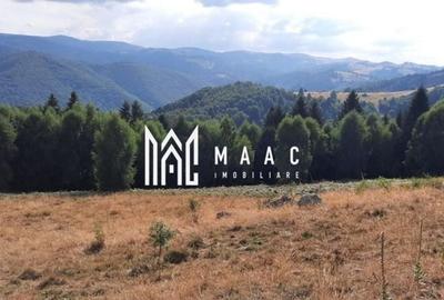 Teren Extravilan | 19.593 MP | Zona Saliste - 2