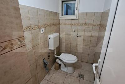 Casa individuala de vanzare in satul Zizin, judetul Brasov - 14