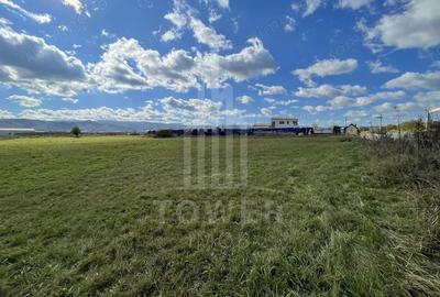 Teren de 6000 mp, în Cristian