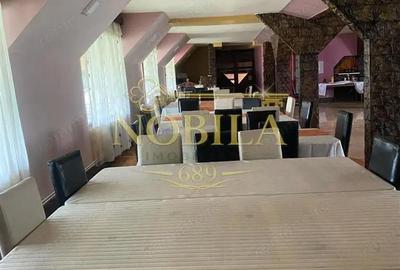 Spațiu comercial, de 1,000 mp, în Dofteana - 9