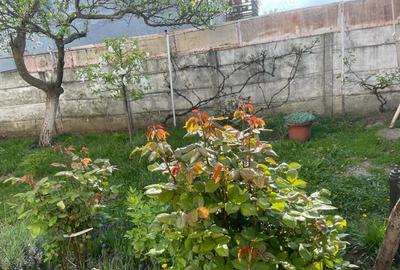 Direct propietar - Vand imobil Valenii de Munte - 5