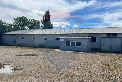 Spațiu comercial, de 590 mp, în Gară - 1