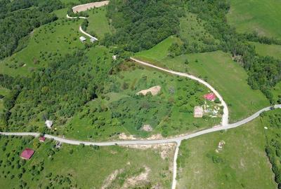 Teren intravilan de vanzare 12,700mp Codru Butesii / Stra... - 5