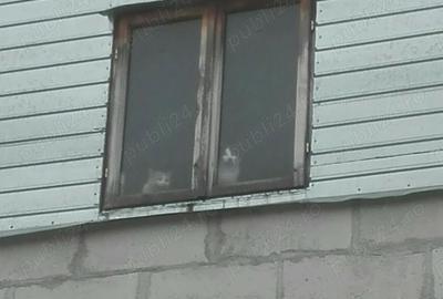Casă cu 5 camere cu Teren 2100 Mp în Ordoreanu - 15