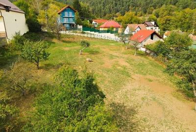 Teren Construcții intravilan de 3290 mp, în Codlea - 6