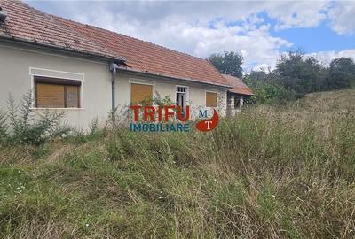 Casă cu 4 camere în Drâmbar - 7