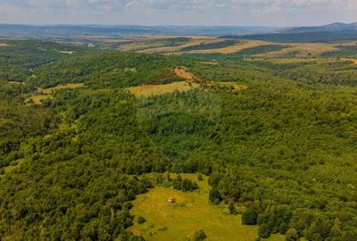 COMISION 0% Teren Grid/Inima Naturii/ Oportunitate de investitie - 16