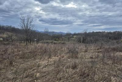 Teren de 5700 mp, în Iabalcea - 7