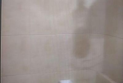 Casa P+E, 1978, Timisoara, Printul Turcesc, cu ap. cu 3 cam/nivel + anexa - 8