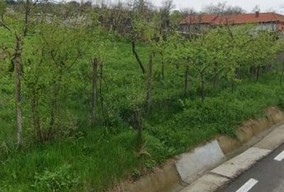 Teren de 1500 mp, în Predești - 6