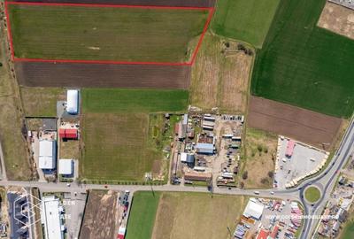 Teren extravilan, 20000 mp, Sanleani - 3