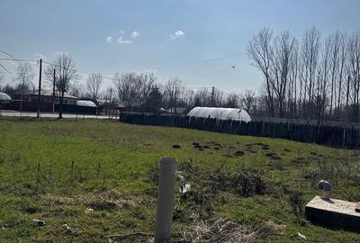 Teren de 2568 mp, în Gostinu - 6