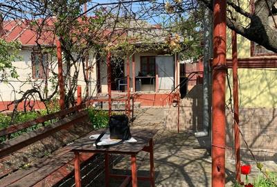 Casă cu 5 camere cu Teren 1600 Mp în Pietroasele - 6