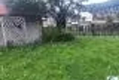 Casă cu 3 camere cu Teren 272 Mp în Poiana Țapului - 5