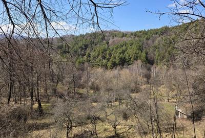 Spațiu comercial, în Căpățânenii Ungureni - 4