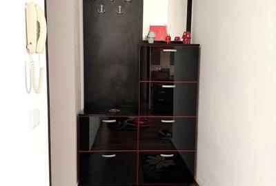 Apartament cu 2 camere semidecomandat, mobilat în Iosefin - 2
