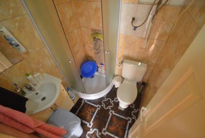 Apartament cu 2 camere semidecomandat în Iosefin - 3