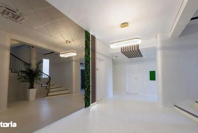 Spațiu comercial, de 127 mp, în Smârdan - 2