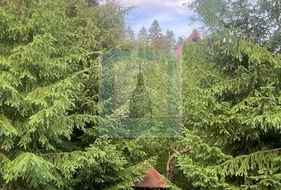 Casa/Vila de vanzare in Predeal - 3