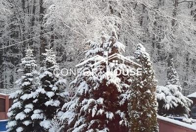 VILA D+P+E+M, 12 camere, piscina , padure, IANCU NICOLAE - 43