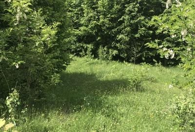 Vand teren in Albestii de Muscel faneata-pasune, partial impadurit - 8