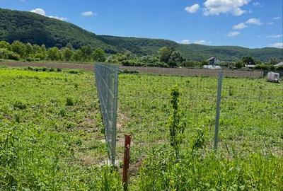 Spațiu comercial, în Central - 3