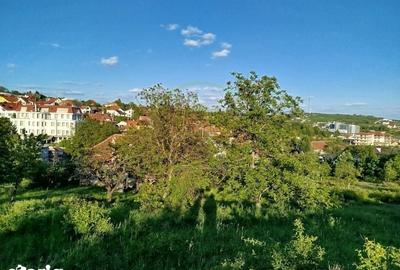 Teren de 14400 mp, în Iorga - 3