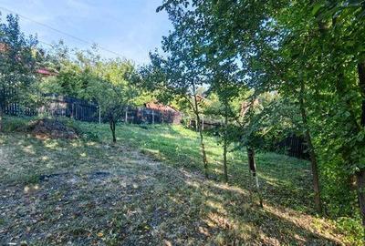 Teren de 532 mp, în Poiana - 4