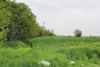 Vidra, Sat Cretesti - 3