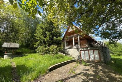 VIGAFON - Casa 4 camere Homoraciu - 5