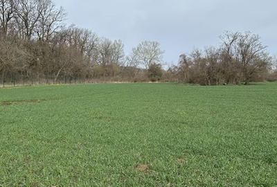 Teren de 1500 mp, în Nuci