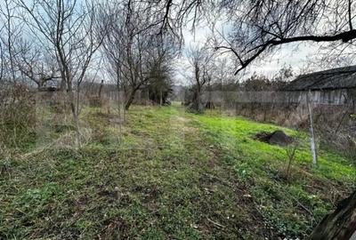 Casă cu 3 camere cu Teren 2792 Mp în Primăverii - 2