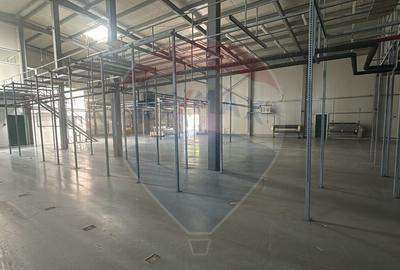 Hala de inchiriat - zona Calea Clujului, Oradea