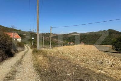 Teren de 14000 mp, în Vințu de Jos - 10