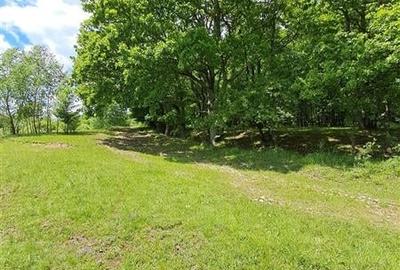 Teren 550 mp de vanzare in Tocile - 7