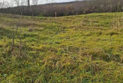 Teren de 3000 mp, în Central